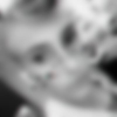 Profilbild von Ani…