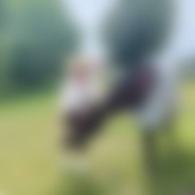 Bild von Ker…