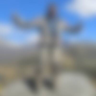 Bild von Wul…
