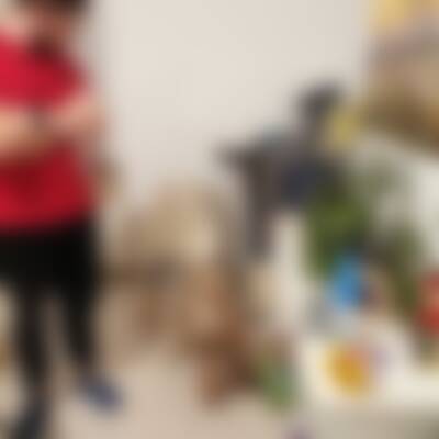 Profilbild von Max…