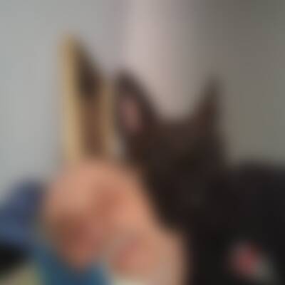 Profilbild von fal…