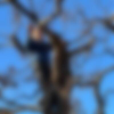 Profilbild von Mic…