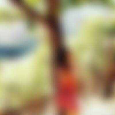 Bild von Mar…
