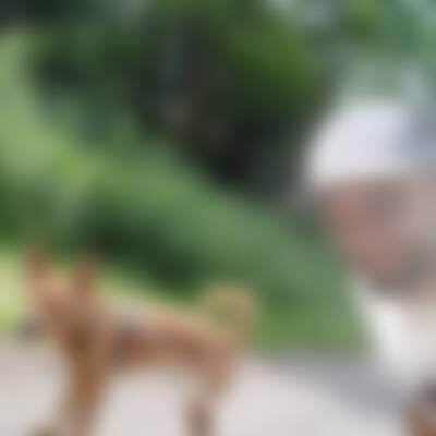 Profilbild von Mai…
