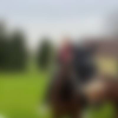 Bild von Peg…