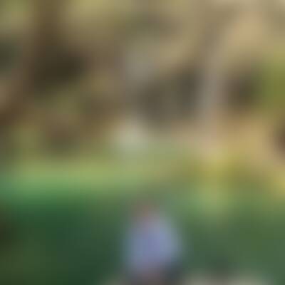 Bild von All…