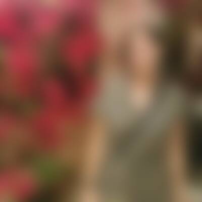 Bild von Tan…