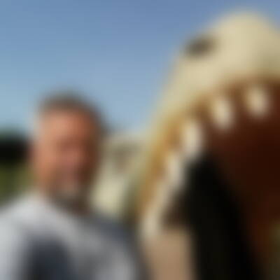 Profilbild von Wil…