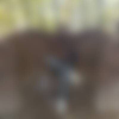 Bild von Lui…