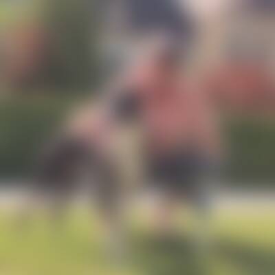 Bild von Joe…