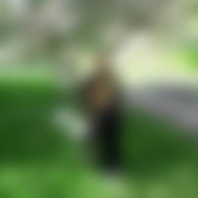 Bild von Fer…